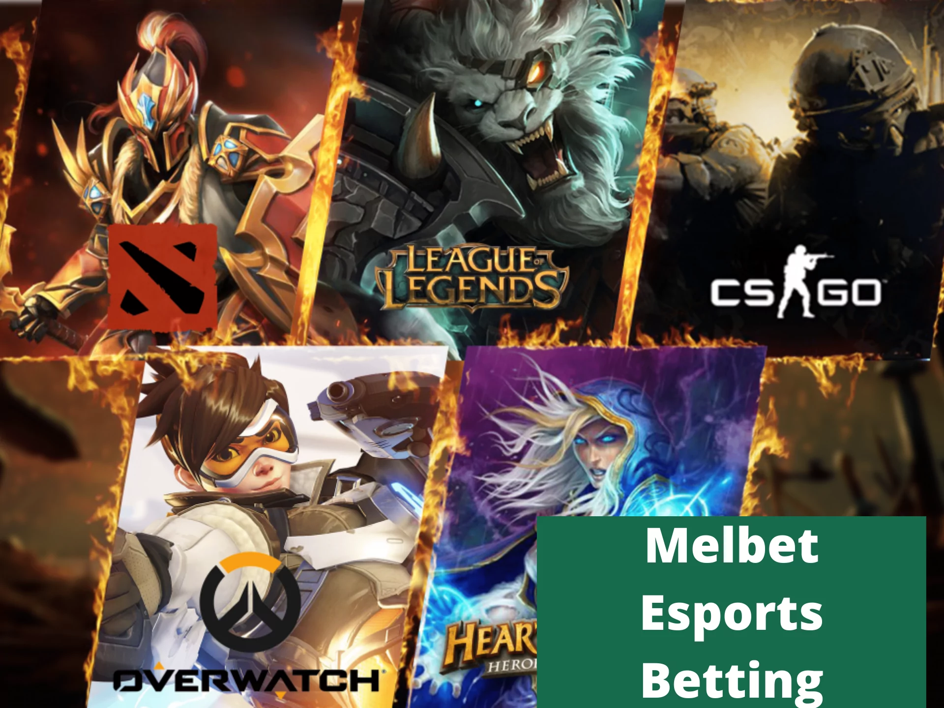 Melbet Esports Betting.