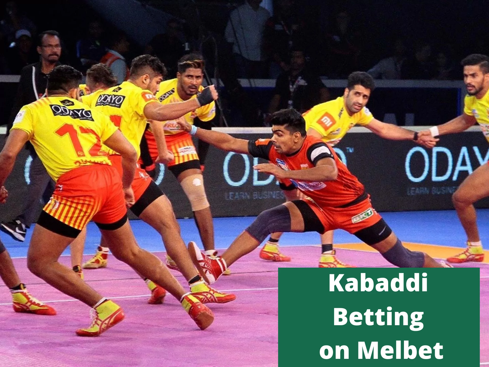 Kabaddi Betting on Melbet.